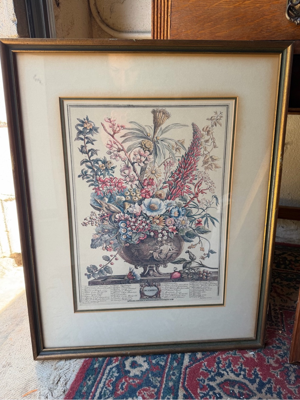 vintage Robert Furber "
December" botanical print from the "Twelve Months